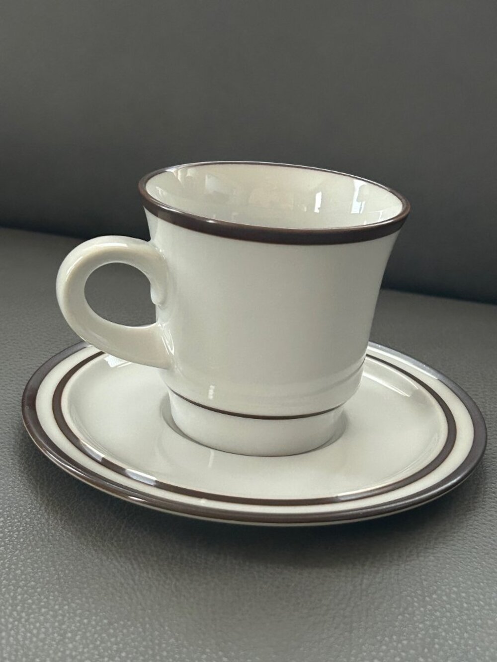 Tundra by Noritake Cup + Saucer Set, Brown Bands Grayish